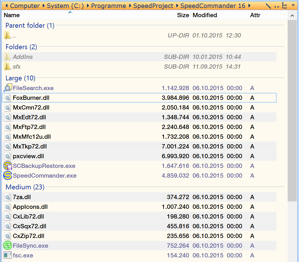 Files grouped by size